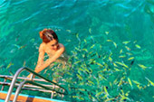 Focus: เกาะพีพี โดยเรือหางยาว