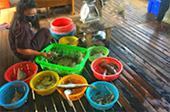 Yao-Yai islanders