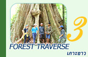 Forest Traverse เกาะยาวน้อย