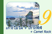 เกาะไม้ไผ่ เกาะพีพี Camel Rock
