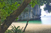 The Island Sapiens: 2 เกาะยาว